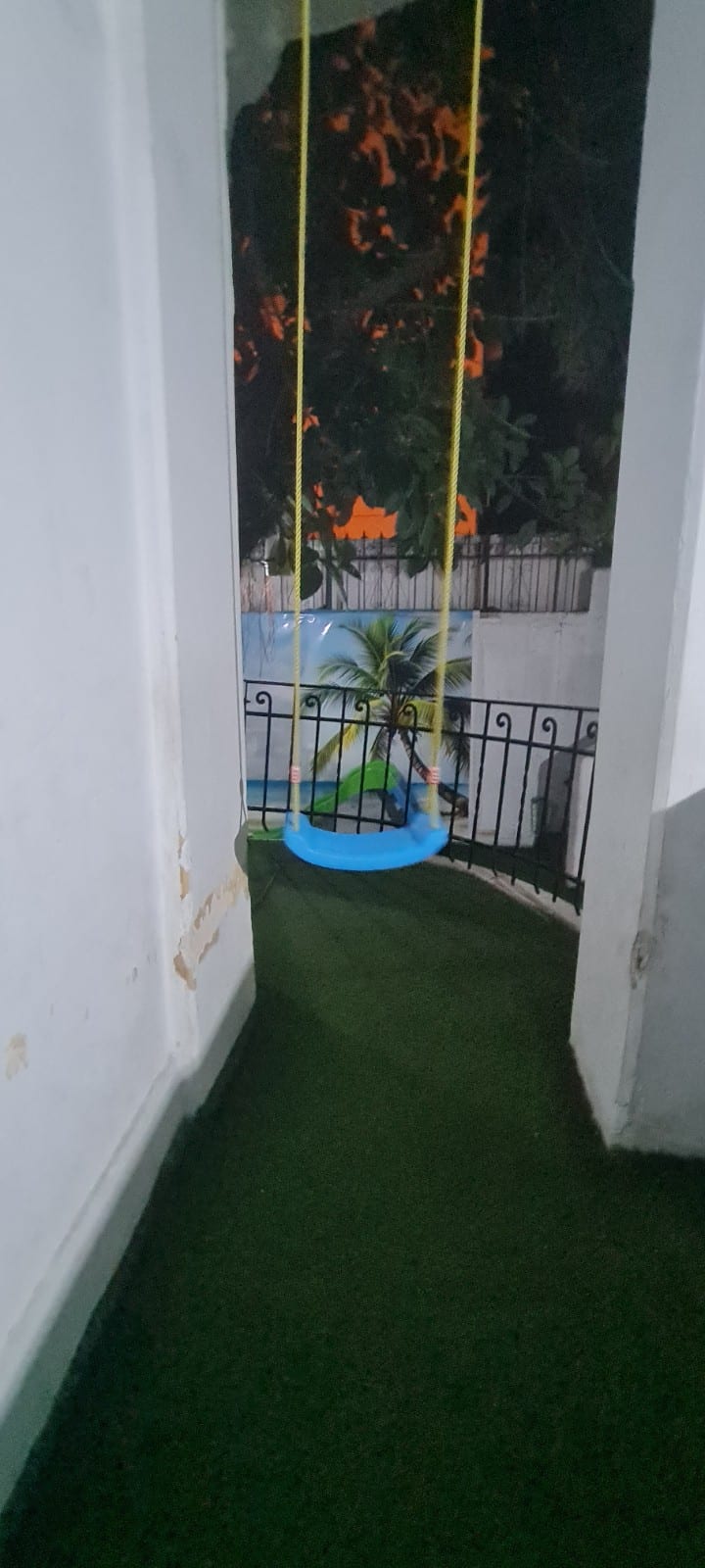 Music ,art ,ballet photo 4